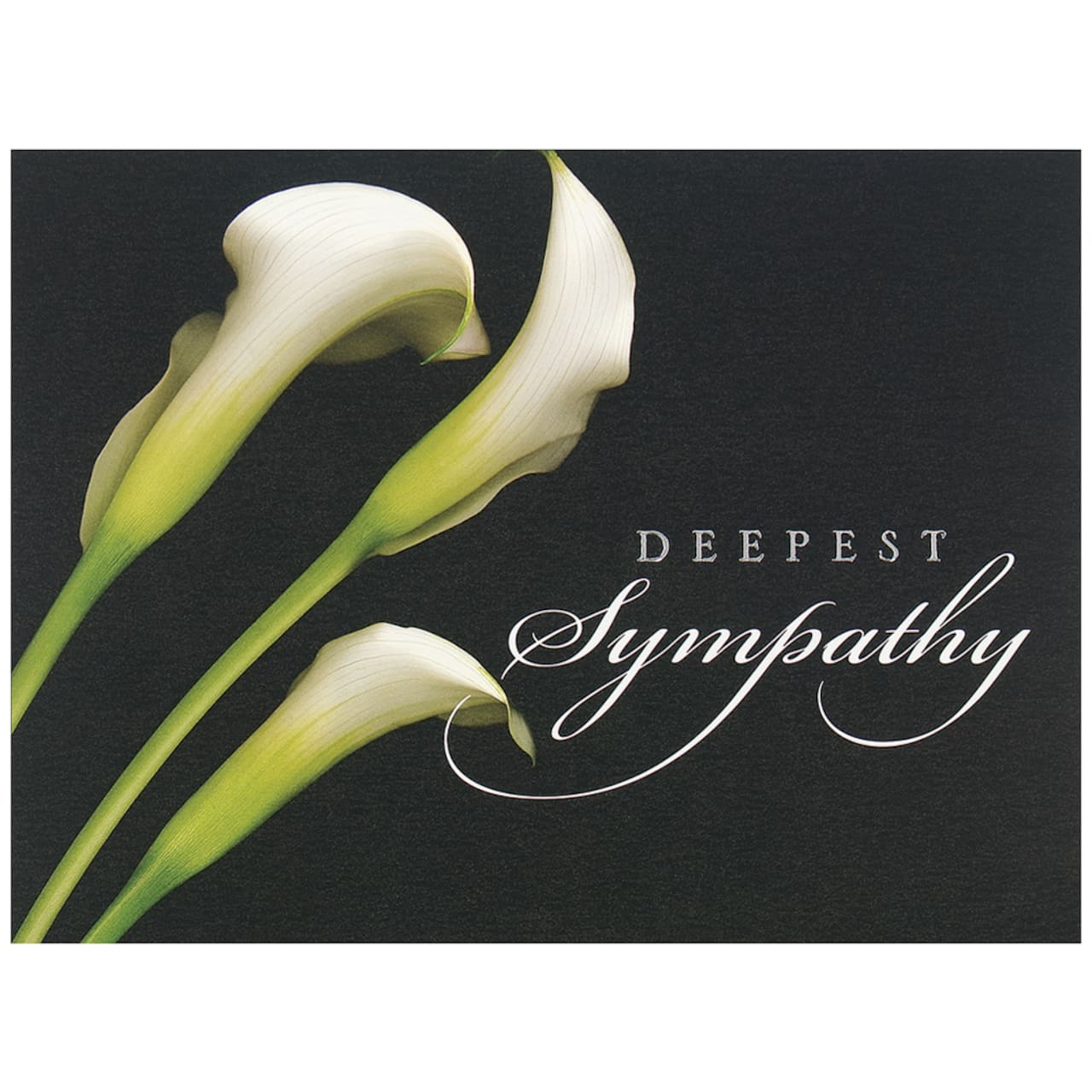 JAM Paper 5.625" x 7.875" Sympathy Calla Lilies Cards & Envelopes, 25ct.